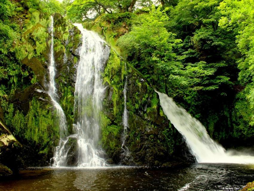 ランベリス Prime Location For Snowdon, Family And Dog Friendly!ヴィラ エクステリア 写真
